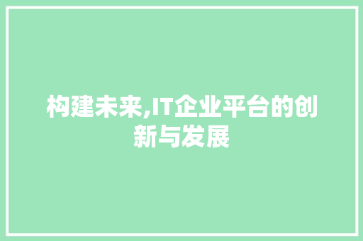 构建未来,IT企业平台的创新与发展