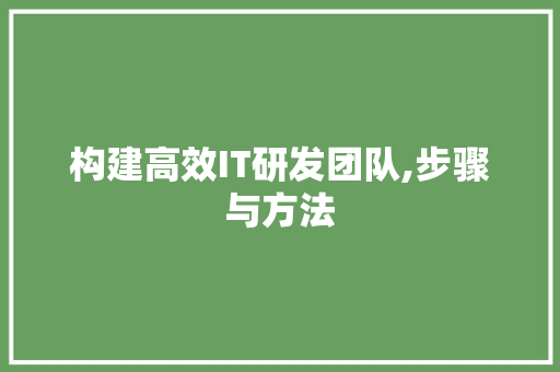构建高效IT研发团队,步骤与方法