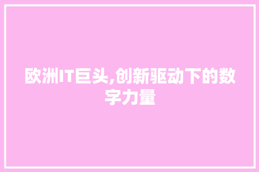 欧洲IT巨头,创新驱动下的数字力量