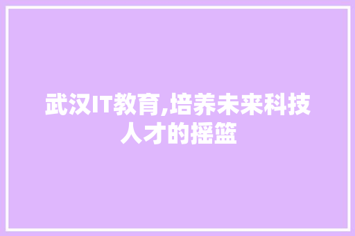 武汉IT教育,培养未来科技人才的摇篮