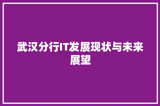 武汉分行IT发展现状与未来展望