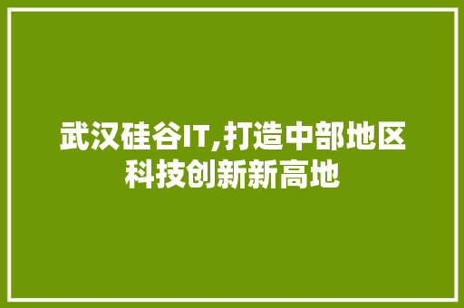 武汉硅谷IT,打造中部地区科技创新新高地
