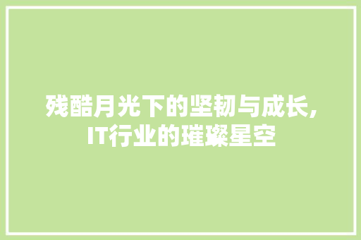 残酷月光下的坚韧与成长,IT行业的璀璨星空