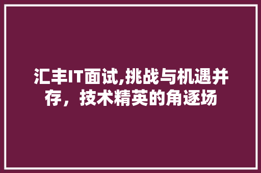 汇丰IT面试,挑战与机遇并存，技术精英的角逐场