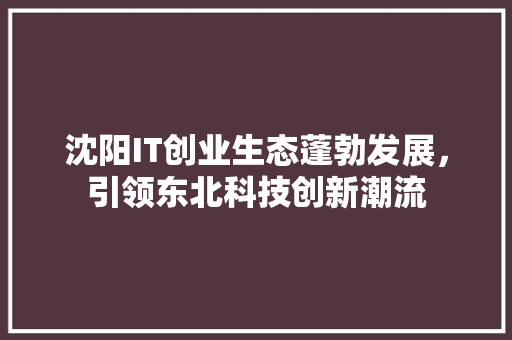 沈阳IT创业生态蓬勃发展，引领东北科技创新潮流