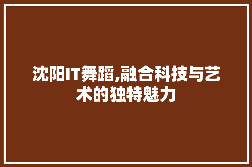 沈阳IT舞蹈,融合科技与艺术的独特魅力