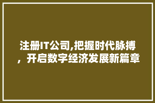 注册IT公司,把握时代脉搏，开启数字经济发展新篇章