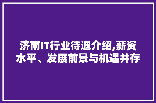 济南IT行业待遇介绍,薪资水平、发展前景与机遇并存