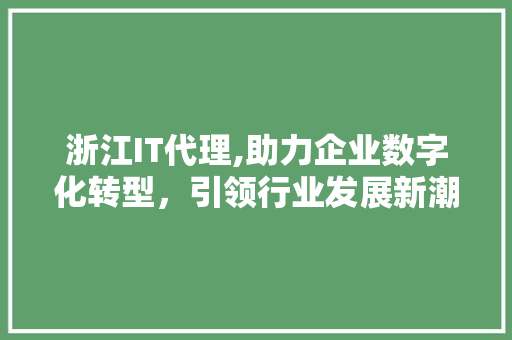 浙江IT代理,助力企业数字化转型，引领行业发展新潮流