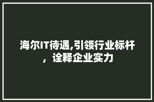 海尔IT待遇,引领行业标杆，诠释企业实力
