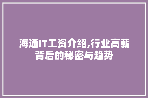 海通IT工资介绍,行业高薪背后的秘密与趋势