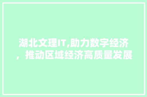 湖北文理IT,助力数字经济，推动区域经济高质量发展