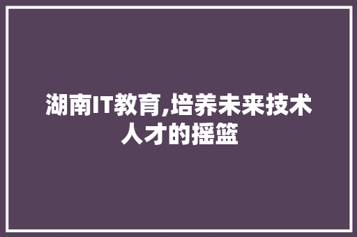 湖南IT教育,培养未来技术人才的摇篮