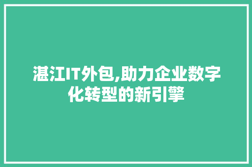 湛江IT外包,助力企业数字化转型的新引擎