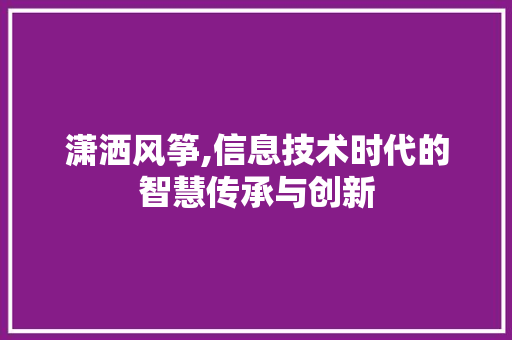 潇洒风筝,信息技术时代的智慧传承与创新