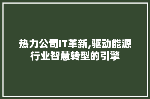 热力公司IT革新,驱动能源行业智慧转型的引擎
