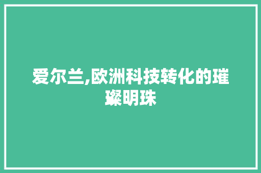 爱尔兰,欧洲科技转化的璀璨明珠