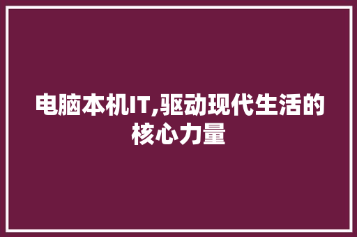 电脑本机IT,驱动现代生活的核心力量