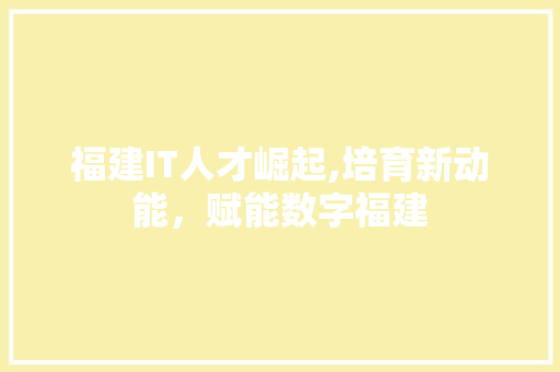 福建IT人才崛起,培育新动能，赋能数字福建