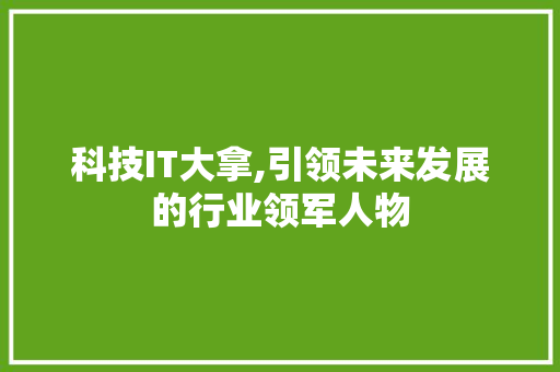 科技IT大拿,引领未来发展的行业领军人物
