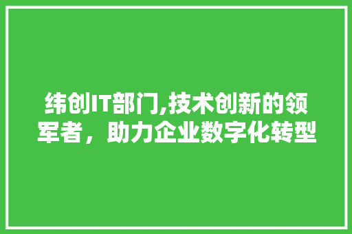 纬创IT部门,技术创新的领军者，助力企业数字化转型