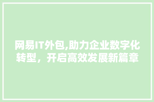 网易IT外包,助力企业数字化转型，开启高效发展新篇章