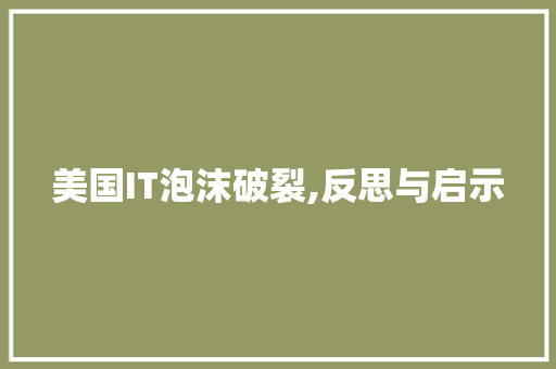 美国IT泡沫破裂,反思与启示