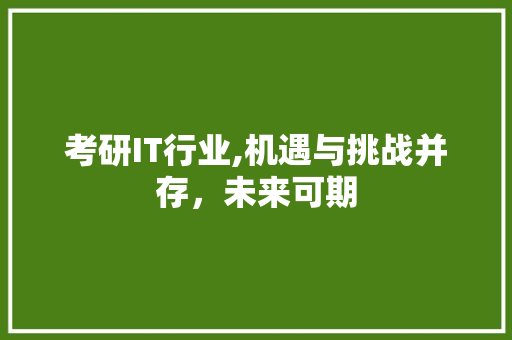 考研IT行业,机遇与挑战并存，未来可期