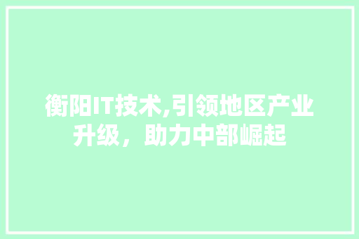 衡阳IT技术,引领地区产业升级，助力中部崛起