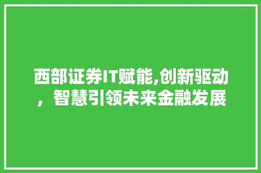 西部证券IT赋能,创新驱动,智慧引领未来金融发展 西部证券IT赋能,创新驱动,智慧引领未来金融发展
