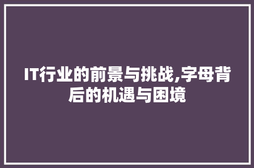 IT行业的前景与挑战,字母背后的机遇与困境