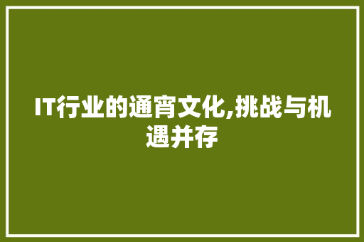 IT行业的通宵文化,挑战与机遇并存