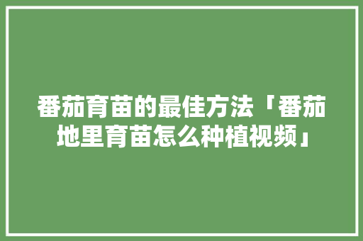 番茄育苗的最佳方法「番茄地里育苗怎么种植视频」 番茄育苗的最佳方法「番茄地里育苗怎么种植视频」 番茄种植技巧