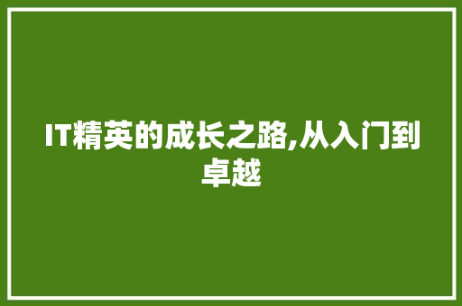 IT精英的成长之路,从入门到卓越