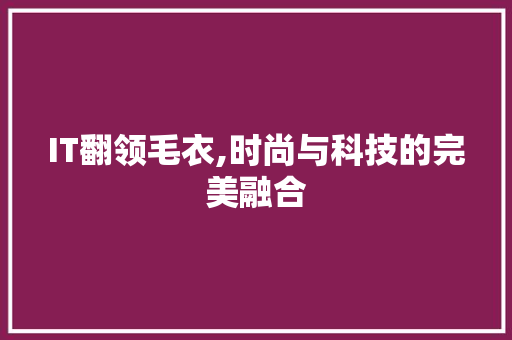 IT翻领毛衣,时尚与科技的完美融合