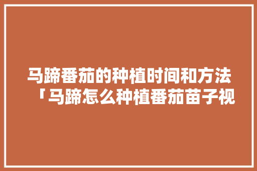 马蹄番茄的种植时间和方法「马蹄怎么种植番茄苗子视频」 马蹄番茄的种植时间和方法「马蹄怎么种植番茄苗子视频」 番茄种植技巧