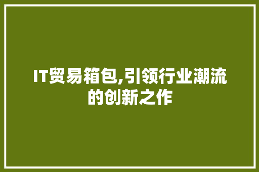 IT贸易箱包,引领行业潮流的创新之作