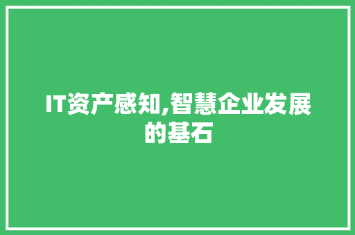IT资产感知,智慧企业发展的基石