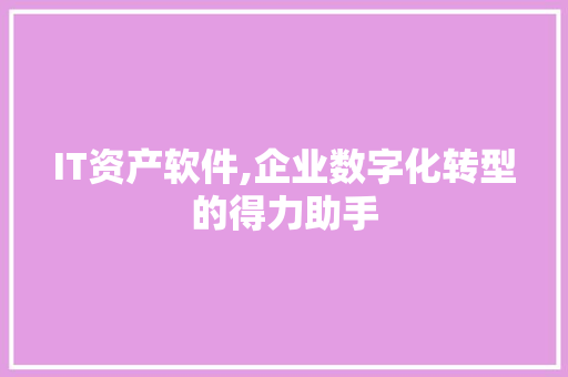 IT资产软件,企业数字化转型的得力助手