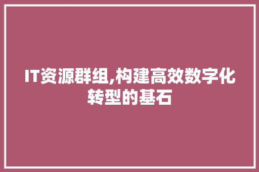 IT资源群组,构建高效数字化转型的基石