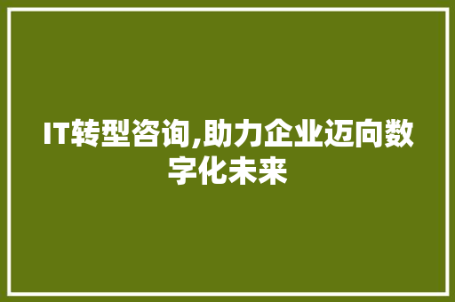 IT转型咨询,助力企业迈向数字化未来