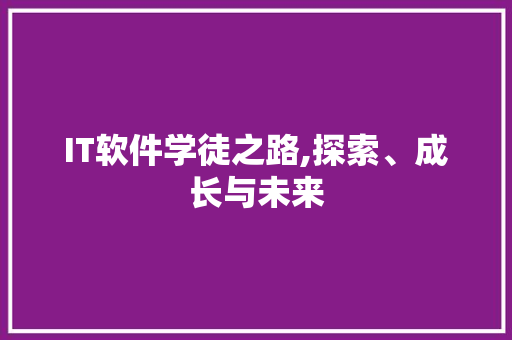IT软件学徒之路,探索、成长与未来