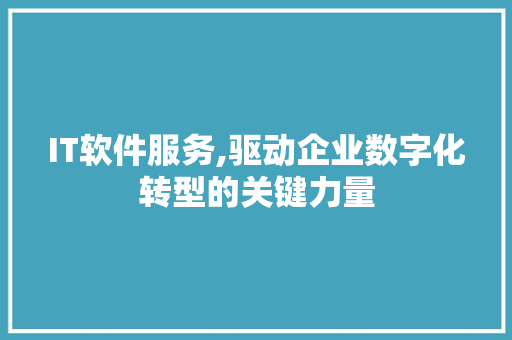 IT软件服务,驱动企业数字化转型的关键力量