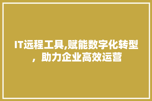 IT远程工具,赋能数字化转型，助力企业高效运营