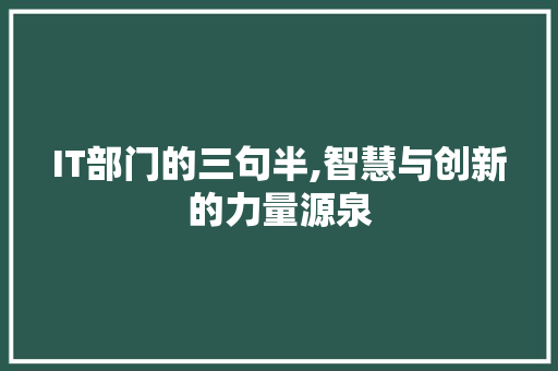 IT部门的三句半,智慧与创新的力量源泉