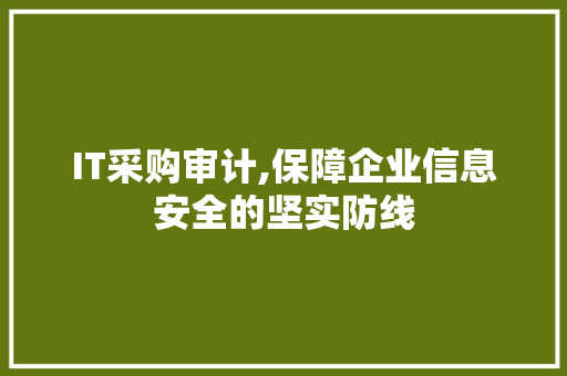 IT采购审计,保障企业信息安全的坚实防线