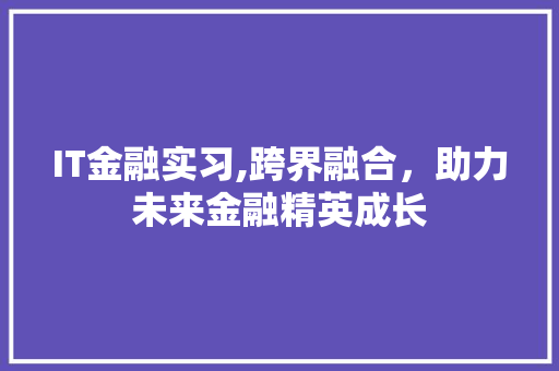 IT金融实习,跨界融合，助力未来金融精英成长
