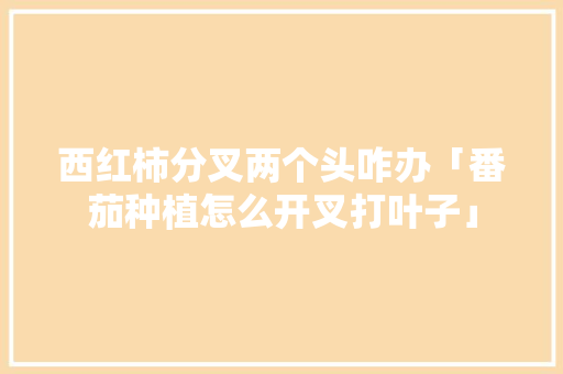 西红柿分叉两个头咋办「番茄种植怎么开叉打叶子」 西红柿分叉两个头咋办「番茄种植怎么开叉打叶子」 番茄病虫害防治