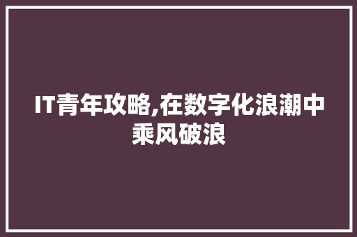 IT青年攻略,在数字化浪潮中乘风破浪