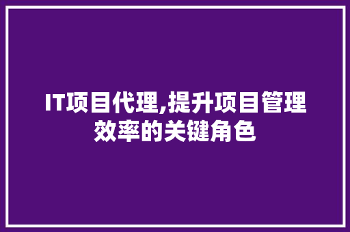 IT项目代理,提升项目管理效率的关键角色